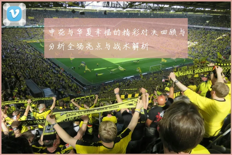 申花与华夏幸福的精彩对决回顾与分析全场亮点与战术解析